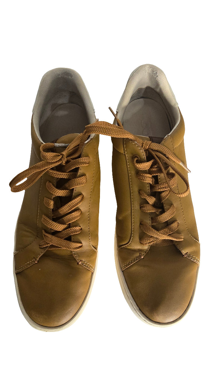 coach men’s sneakers – brown leather (size 12d us / 46 eu)