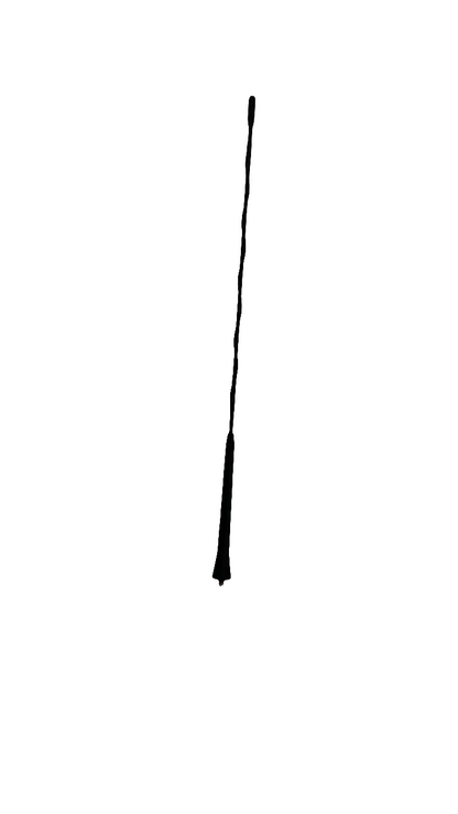 Universal Car Roof Antenna Replacement – Black