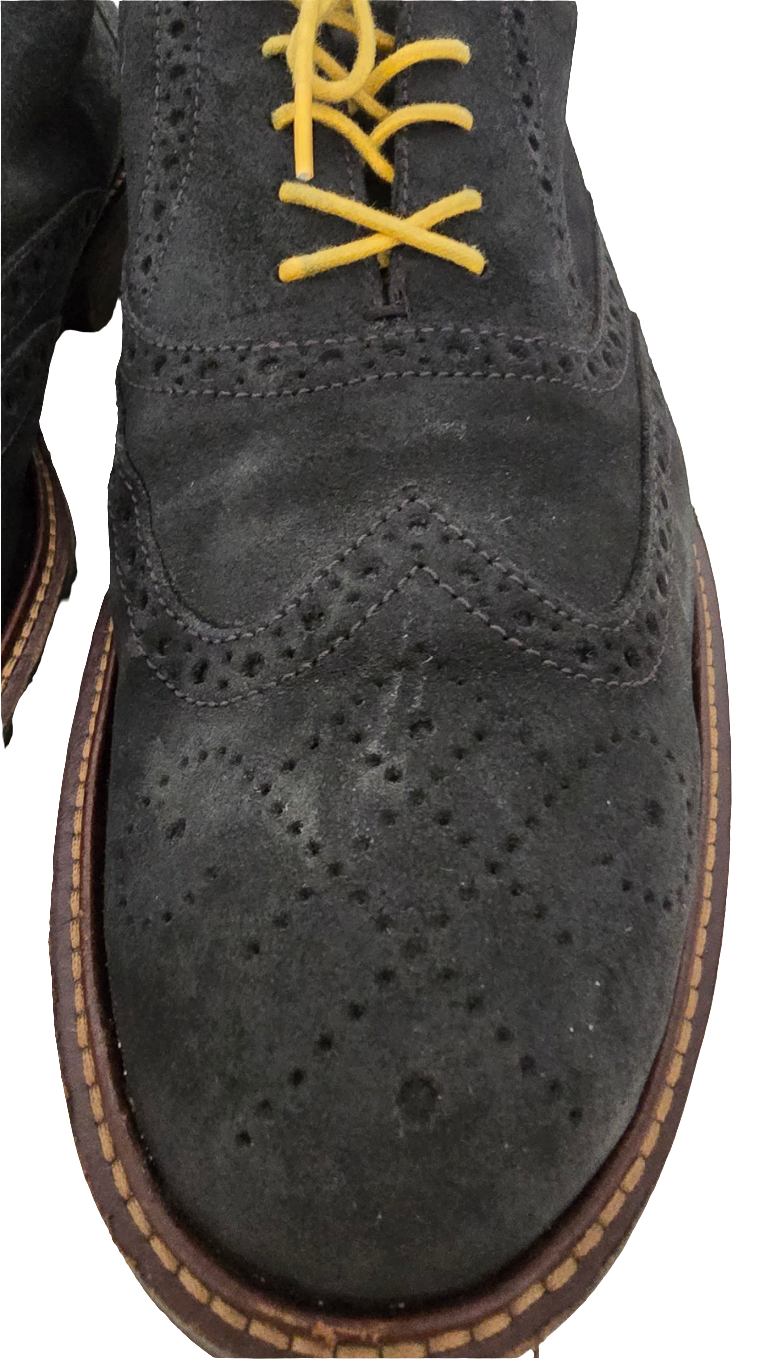 ecco wingtip suede oxfords - black w/ yellow laces (size us 13, pre-owned)